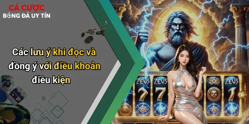 Các lưu ý khi đọc và đồng ý với điều khoản điều kiện