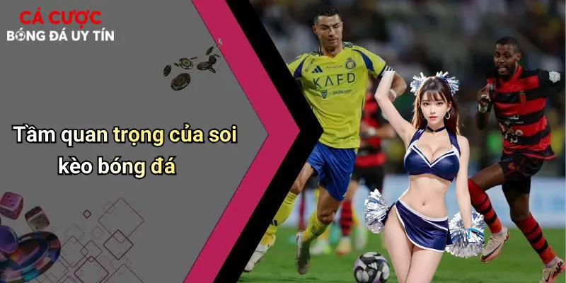 Tầm quan trọng của soi kèo bóng đá