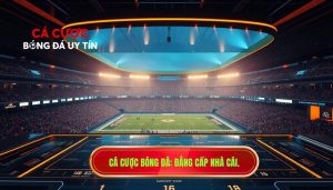 Cá cược bóng đá_ Đẳng cấp nhà cái.