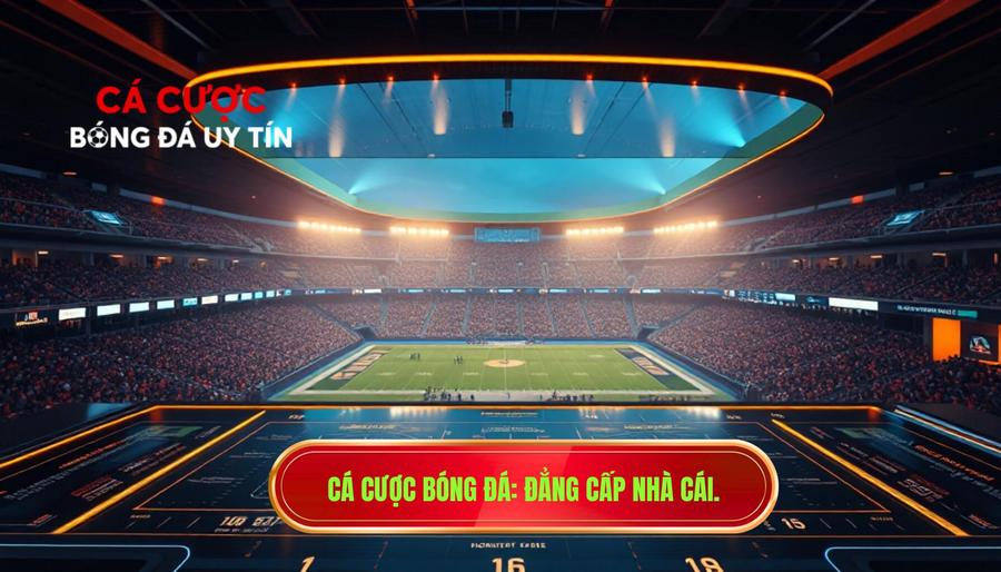 Cá cược bóng đá_ Đẳng cấp nhà cái.