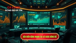 Kèo biến động mạnh tại CÁ CƯỢC BÓNG ĐÁ